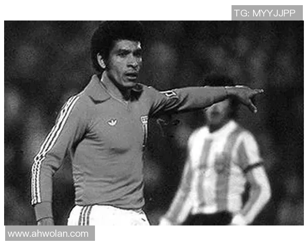 秘鲁足球历史十大球星排名及其成就回顾